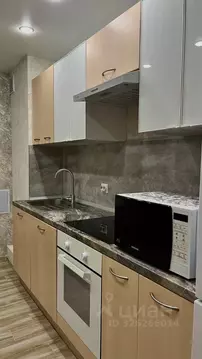 Студия Санкт-Петербург пос. Шушары, Московское ш., 262к1 (32.0 м)