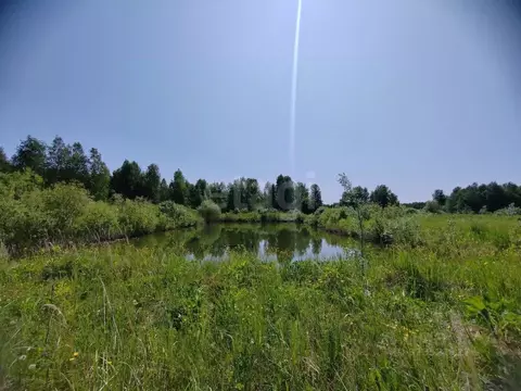 Участок в Свердловская область, Слободо-Туринский район, ...