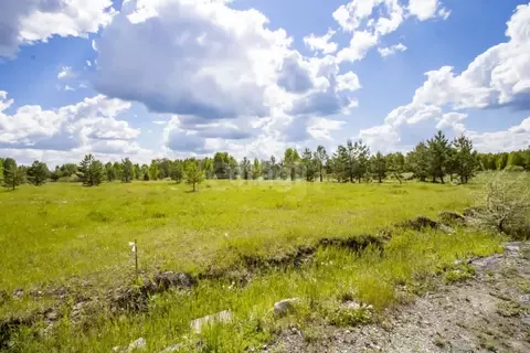 Участок в Тюменская область, Нижнетавдинский муниципальный округ, ...