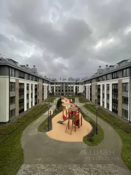 Студия Санкт-Петербург пос. Стрельна, просп. Буденного, 18к2 (25.5 м)