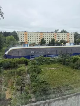 2-к кв. Московская область, Пушкинский городской округ, пос. Зеленый ...