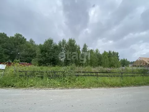 Участок в Тюменская область, Нижнетавдинский муниципальный округ, ...