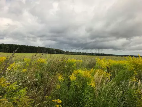 Продается участок в д. Здехово