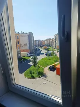 Студия Ленинградская область, Сертолово Всеволожский район, ...