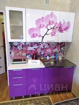 Студия Севастополь ул. Челнокова, 19Ак2 (32.0 м)