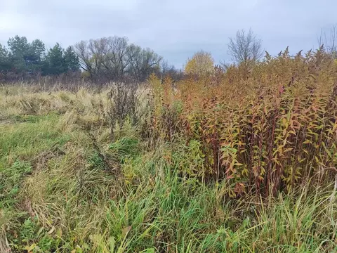 Участок в Московская область, Лотошино пгт ул. Преображенская (10.6 ...