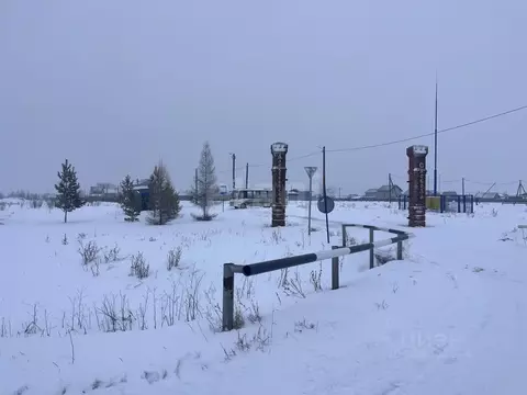 Участок в Новосибирская область, Новосибирский район, Толмачевский ...