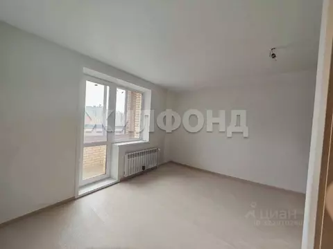 1-к кв. Новосибирская область, Новосибирск Красный просп., 331 (38.0 ...