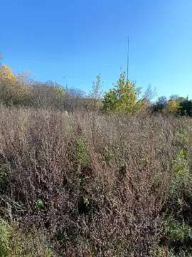 Участок в Московская область, Ступино городской округ, с. Колычево  ...