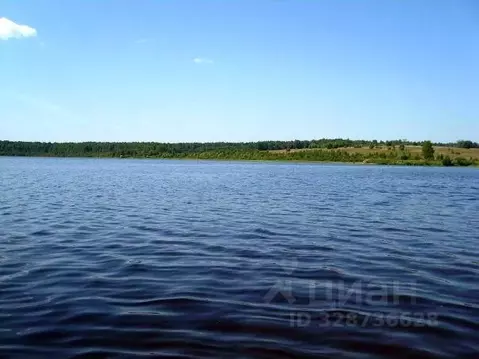Участок в Тверская область, Оленинский район, д. Дубровка  (25.0 сот.)