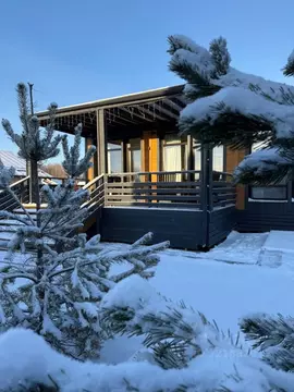 Дом в Ленинградская область, Выборгский район, Рощинское городское ...