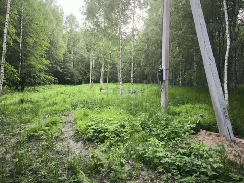 Участок в Костромская область, Костромской район, Середняковское ...
