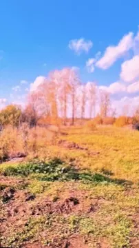 Участок в Пермский край, Пермь ул. Чапаева (16.0 сот.)