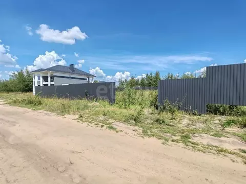 Участок в Воронежская область, Рамонский район, Новоживотинновское ...