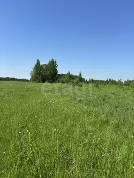 Участок в Тульская область, Киреевский район, Красноярское с/пос, д. ...