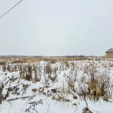 Участок в Ярославская область, Некрасовское рп  (15.0 сот.)