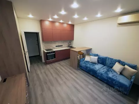 Студия Санкт-Петербург Светлановский просп., 14к1 (24.0 м)