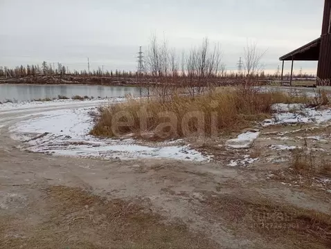 Участок в Ямало-Ненецкий АО, Новый Уренгой Дружба ТСН, проезд 4-й ...