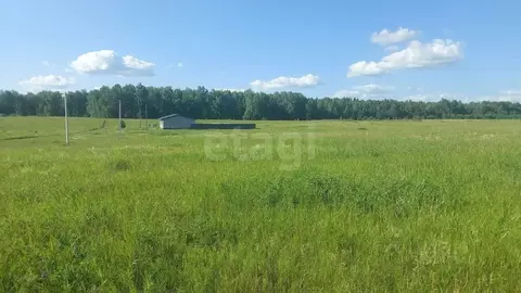 Участок в Алтайский край, Первомайский район, с. Фирсово, Полесье мкр  ...