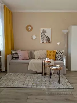 Студия Псковская область, Псков Ольгинская наб., 5А (33.0 м)