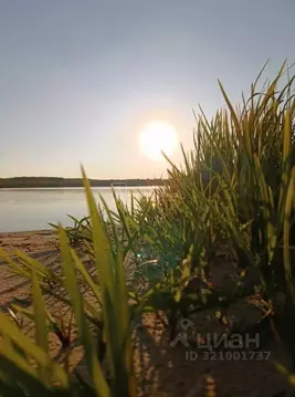 Участок в Владимирская область, Ковровский район, Малыгинское с/пос, ...