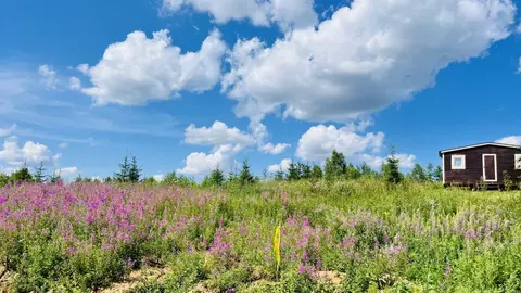 Участок в Московская область, Дмитровский муниципальный округ, д. ...
