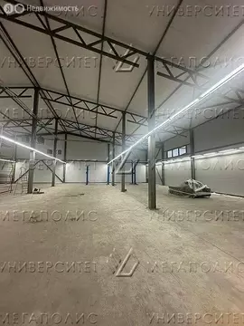 Производственное помещение (896 м)