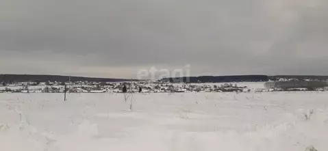 Участок в Мордовия, Кочкуровский район, с. Новая Пырма ул. Лесная ...