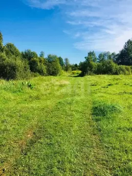 Участок в Тверская область, Кимрский муниципальный округ, д. Головино ...