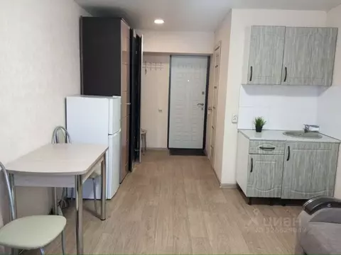 Студия Пермский край, Пермь ул. Мира, 30 (19.4 м)