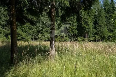 Участок в Московская область, Красногорск городской округ, д. ...