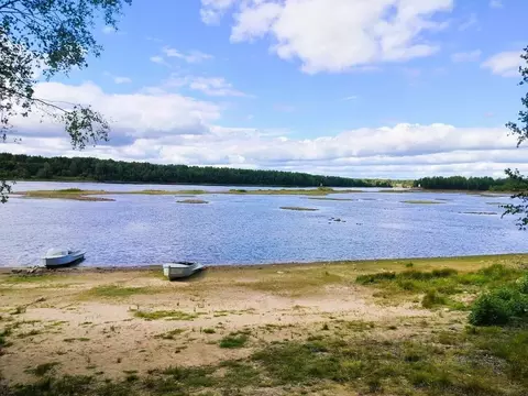 Участок в Ленинградская область, Лодейнопольский район, пос. ...
