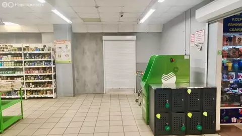 Помещение свободного назначения (50 м)