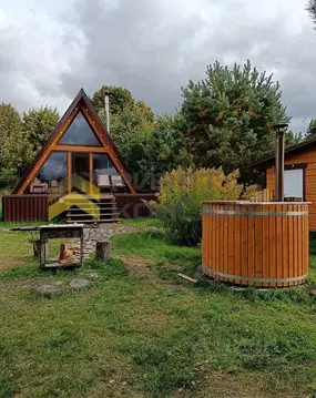 Дом в Омская область, Омск Дары Сибири СНТ, аллея 20-я (24 м)