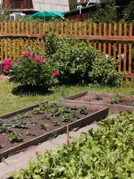 Дом в Бурятия, Прибайкальский район, Колос СНТ  (48 м)