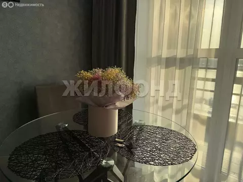 1-комнатная квартира: Новосибирск, Обская улица, 46/2 (27.5 м)