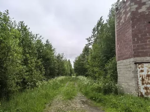 Участок в Вологодская область, Череповецкий район, Югское ...