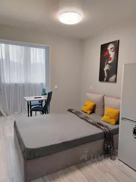 Студия Краснодарский край, Новороссийск Цемдолина тер., ул. Красина, ...