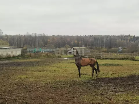 Дом в Владимирская область, Покров городской округ, д. Крюки ул. ...