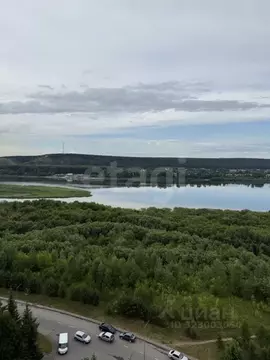 3-к кв. Кемеровская область, Кемерово Притомская набережная ул., 19 ...