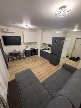 Студия Московская область, Ленинский городской округ, Мисайлово пгт, ...