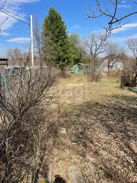 Участок в Амурская область, Благовещенск Родник СНТ, 10 (5.5 сот.)