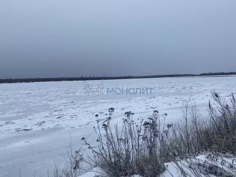 Участок в Нижегородская область, Богородский муниципальный округ, с. ...