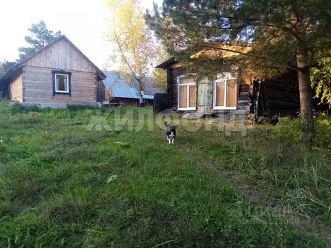 Дом в Томская область, с. Кривошеино ул. Береговая (60 м)