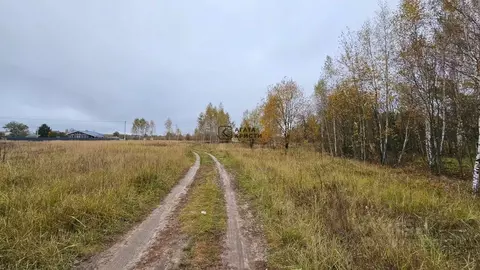 Участок в Московская область, Павлово-Посадский городской округ, с. ...