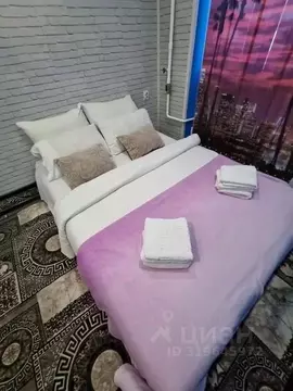 1-к кв. Красноярский край, Норильск ул. Горняков, 3 (15.0 м)