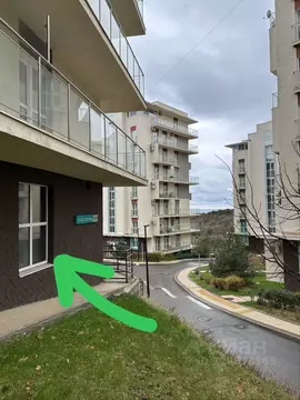 Помещение свободного назначения в Краснодарский край, Анапа ...