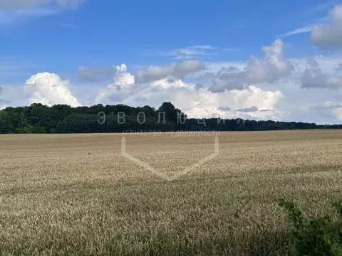 Участок в Калининградская область, Гурьевский муниципальный округ, ...