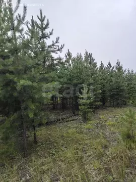 Участок в Улан-Удэ, Перлитовая улица (8 м)