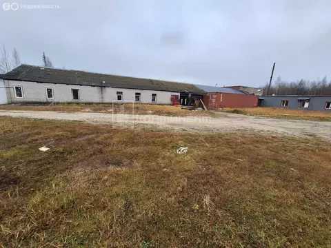 Помещение свободного назначения (1019.4 м)